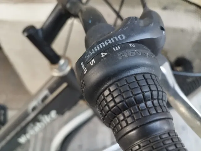 Bicicleta Wega Paseo