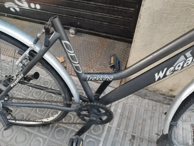Bicicleta Wega Paseo
