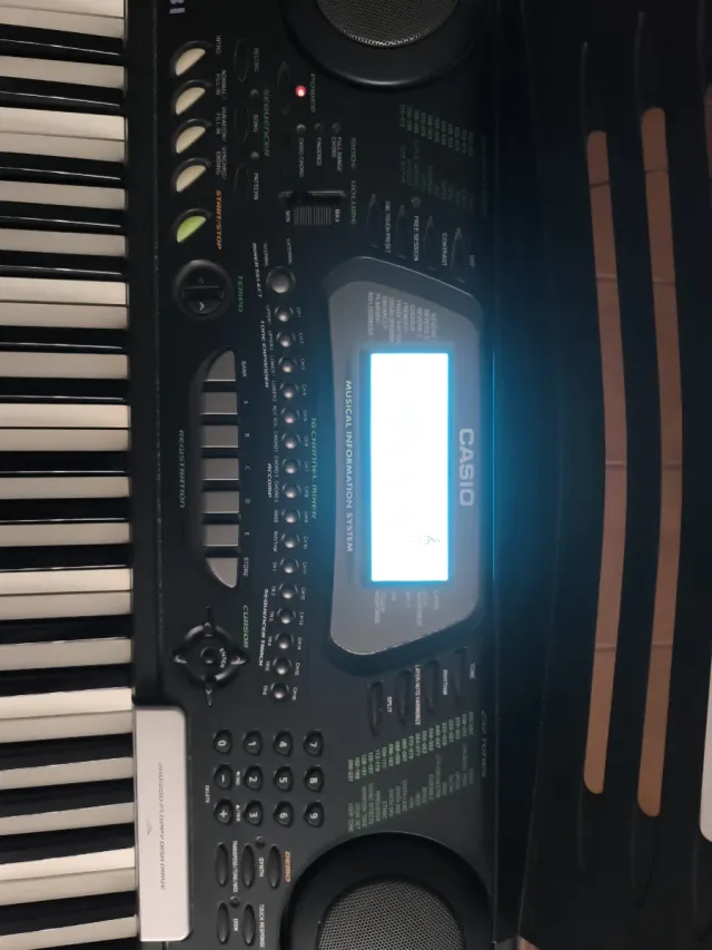 Teclado Casio CTK-731