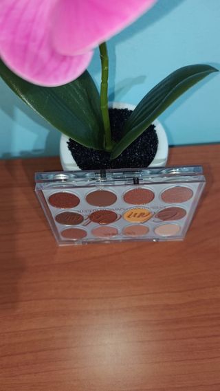 Lote 2 Paletas Maquillaje Marrones y Doradas