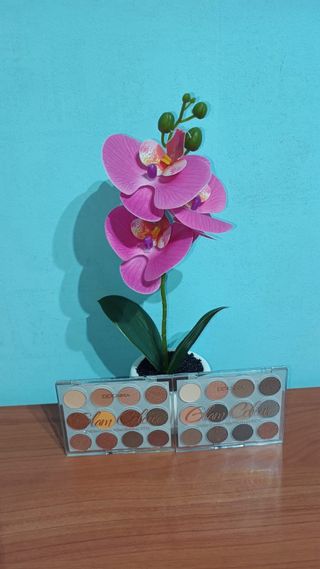 Lote 2 Paletas Maquillaje Marrones y Doradas