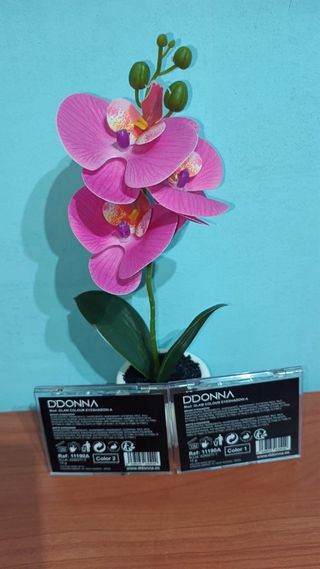 Lote 2 Paletas Maquillaje Marrones y Doradas