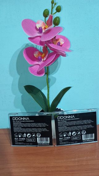 Lote 2 Paletas Maquillaje Marrones y Doradas