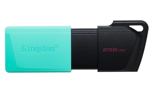 Kingston USB 3.2 256GB