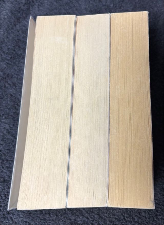 Trilogía El ángel de la noche completa