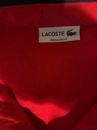 Polo Lacoste azul, blanco y rojo