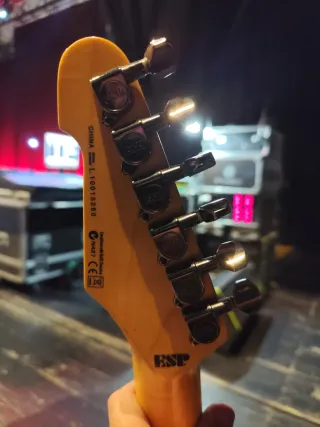 Guitarra eléctrica LTD George Lynch Tiger