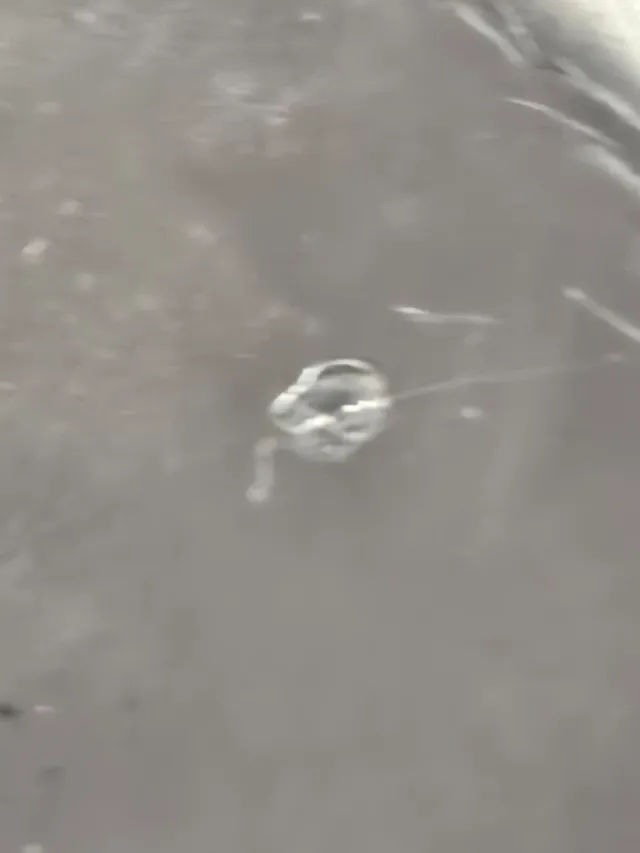 Reloj de bolsillo de plata