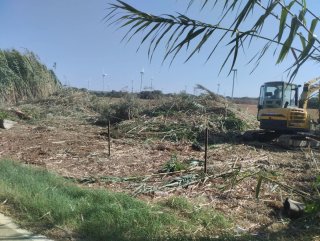Terreno rústico en venta