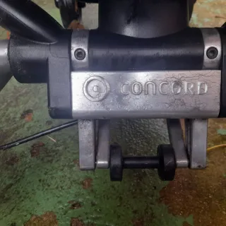 Silla de paseo Concord