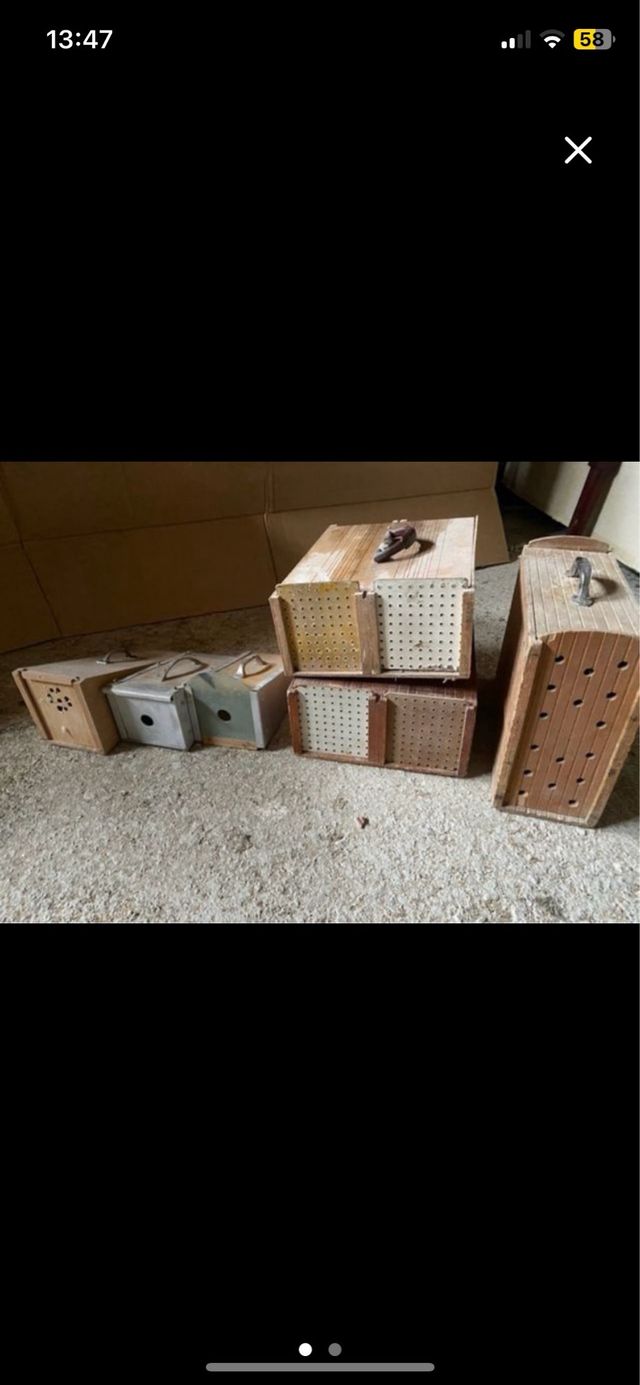 Transportín para palomos