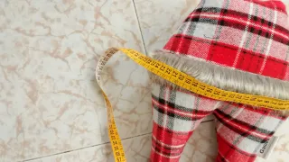 Decorazione per albero di natale