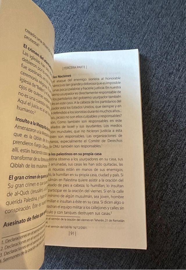 Libro Palestina: La Resistencia Continúa