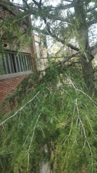 Servicios de reformas generales picarol