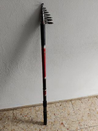 Canna da pesca 4.50m