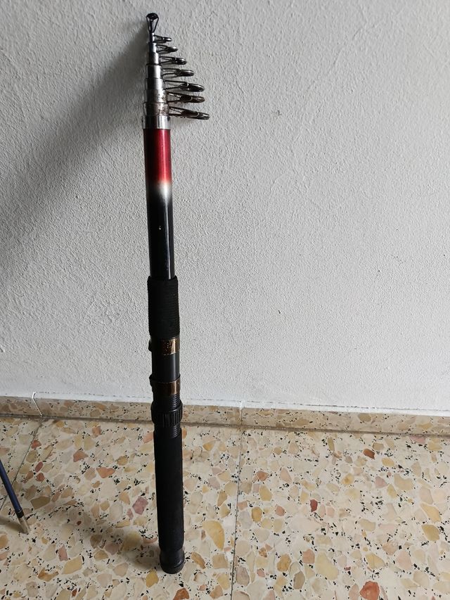 Canna da pesca 4.50m