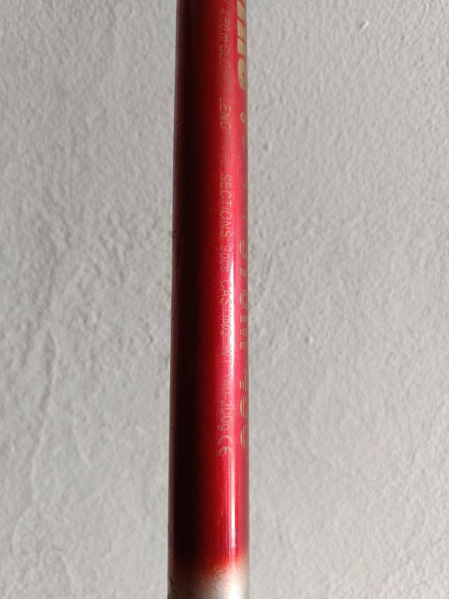 Canna da pesca 4.50m