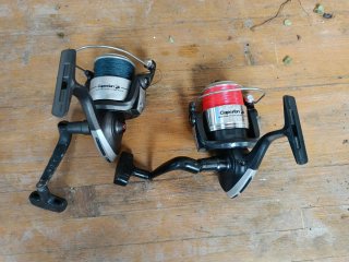 Canna da pesca 4.50m