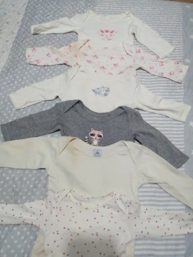 Lote 5 Bodis Manga Larga Bebé