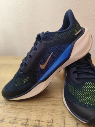 Nike Air Pegasus 41 Talla 38.5 Azul/Blanco