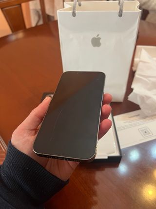 iPhone 13 Pro 256GB Gris