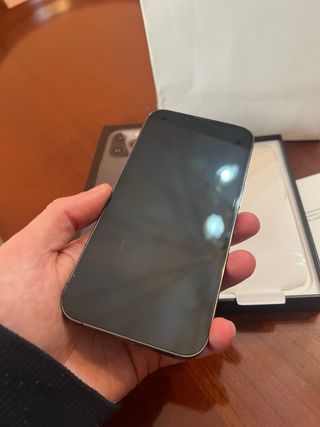 iPhone 13 Pro 256GB Gris