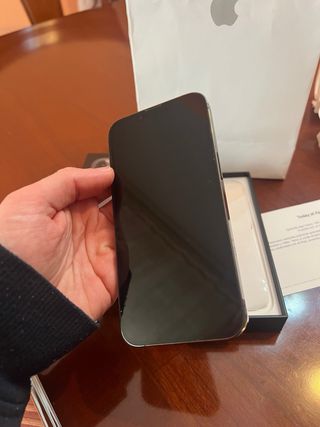 iPhone 13 Pro 256GB Gris
