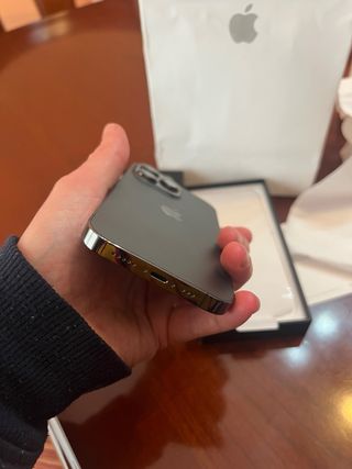 iPhone 13 Pro 256GB Gris