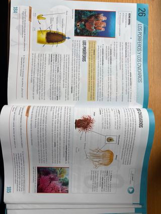 BIOLOGIA Y GEOLOGIA 1