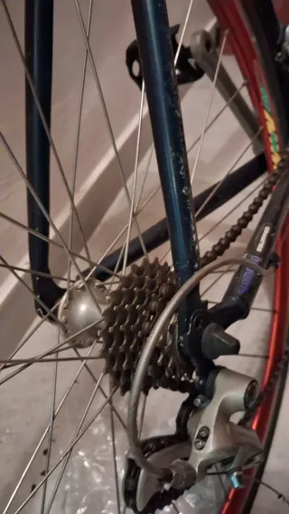 Bici da corsa Bianchi