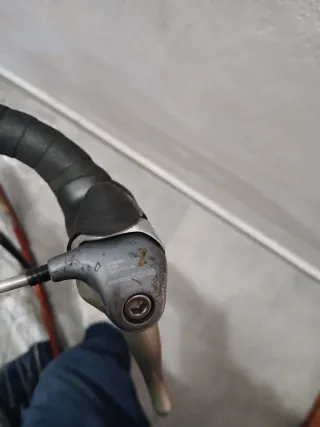 Bici da corsa Bianchi