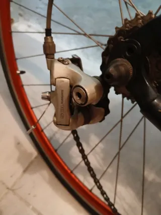 Bici da corsa Bianchi