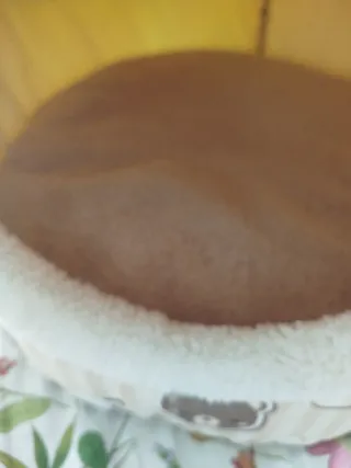 Cama para gato  o perro pequeño con diseño de oso