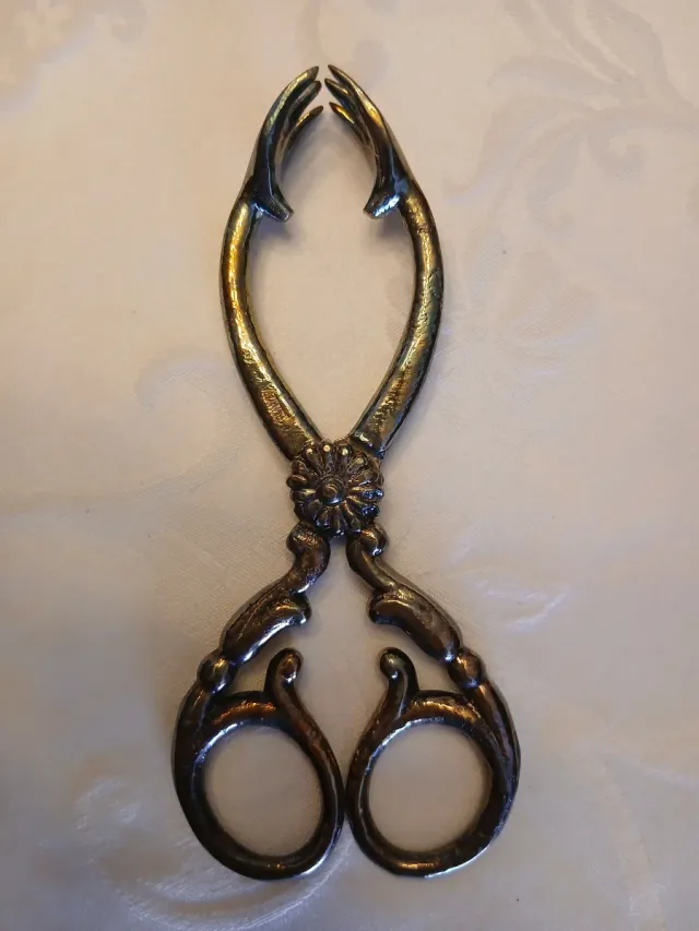 Pinzas para hielo Valenti .