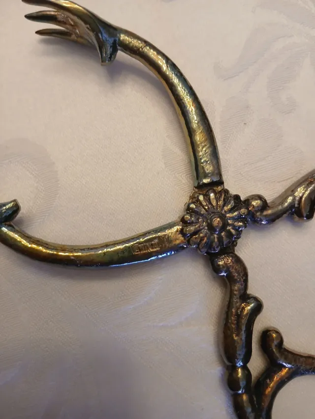 Pinzas para hielo Valenti .