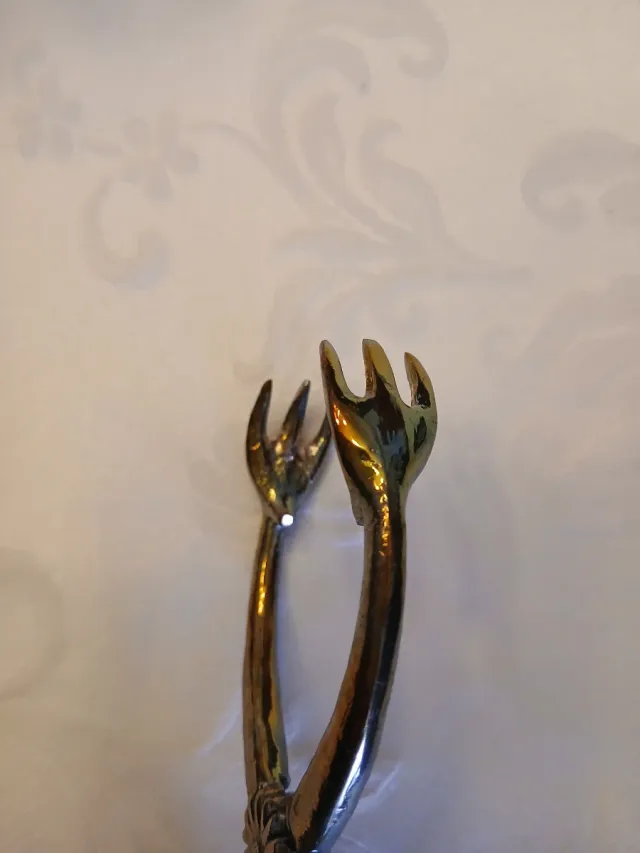 Pinzas para hielo Valenti .