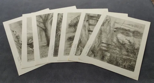 Collezione Imperatoria Disegni J. Camins