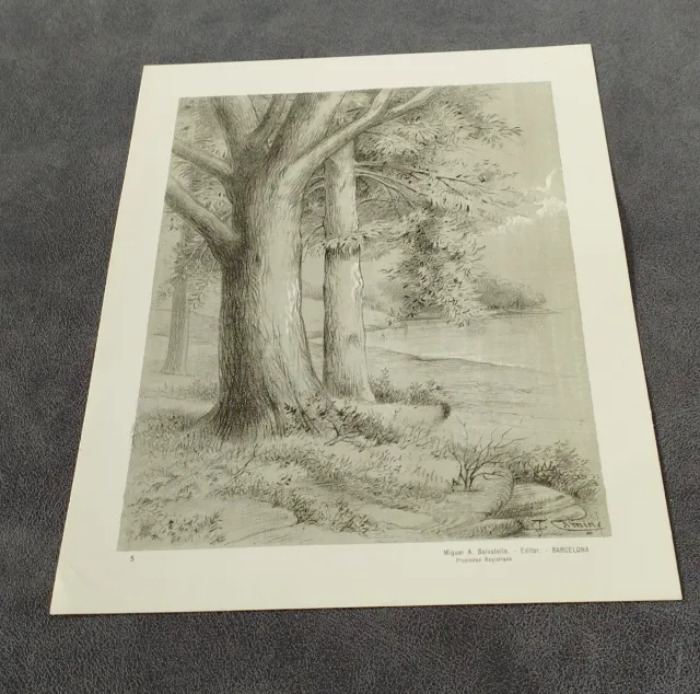 Collezione Imperatoria Disegni J. Camins