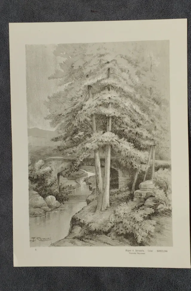 Collezione Imperatoria Disegni J. Camins