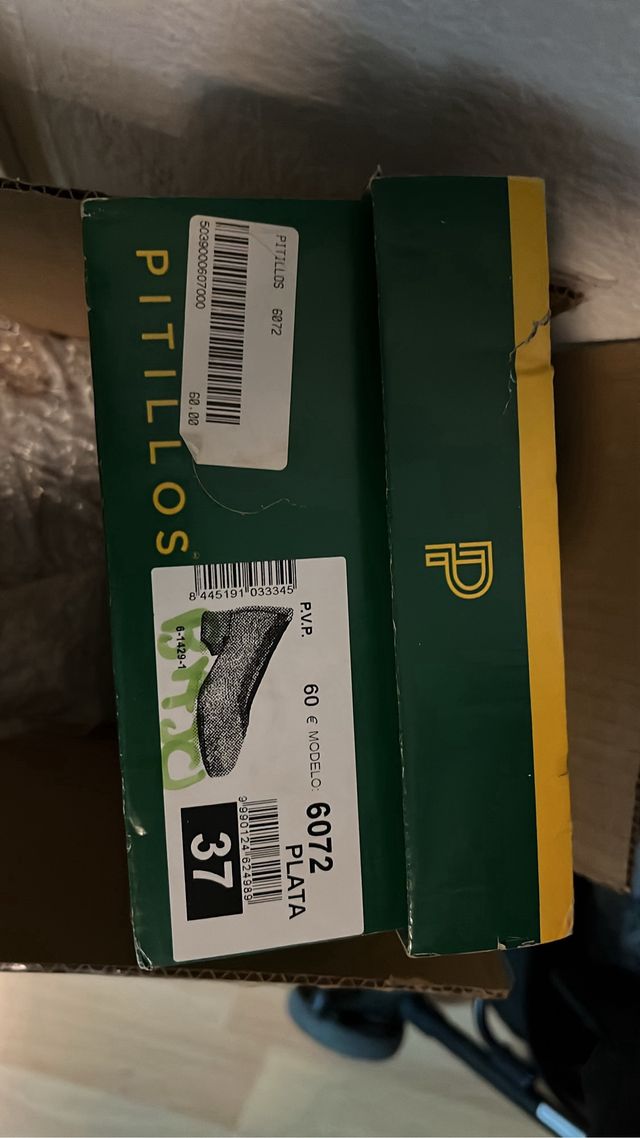 Zapatos Pitillos color plata