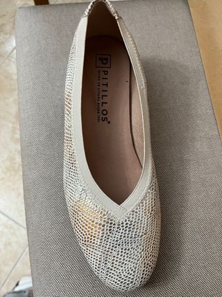 Zapatos Pitillos color plata