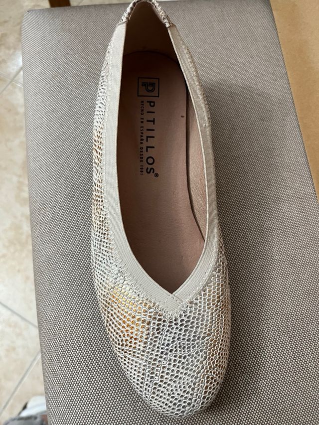 Zapatos Pitillos color plata