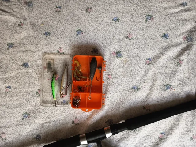 Caña de pesca con carrete