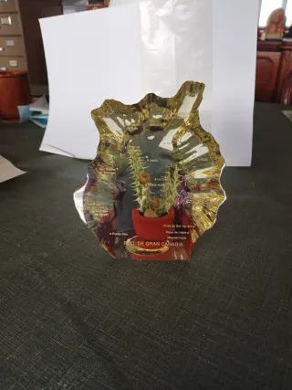 Souvenir Gran Canaria Mapa Cactus