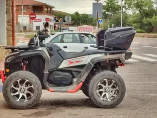 Quad ATV Segway Snarler AT6 LX