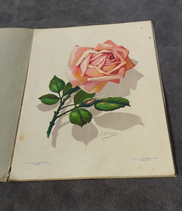 Collezione Imperatoria di Pitture ad Acquarello