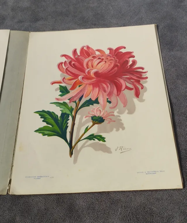 Collezione Imperatoria di Pitture ad Acquarello