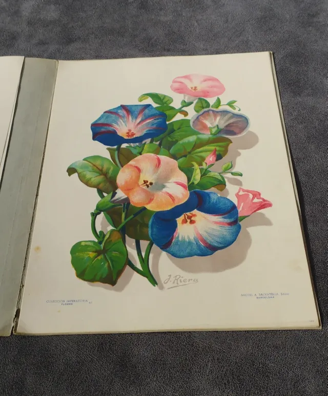 Collezione Imperatoria di Pitture ad Acquarello