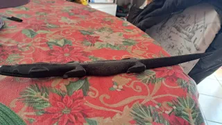 Scultura in legno nero a forma di animale