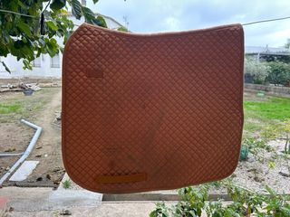 Sudadero de doma y vendas de equitación naranja